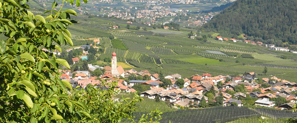 Ausblick Schönleithof